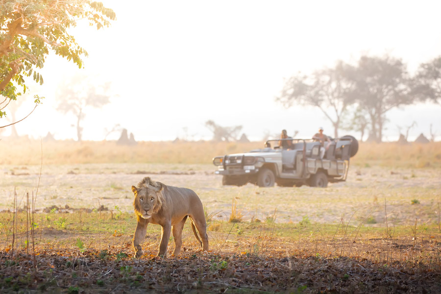 Chiawa Safaris - Zambia Luxury Safari Camps